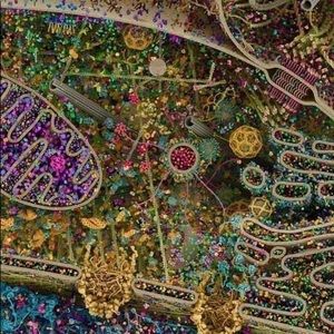 Meet your Posher, Clemetine